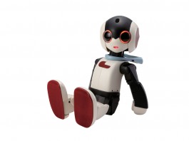 Robi the smart Robot