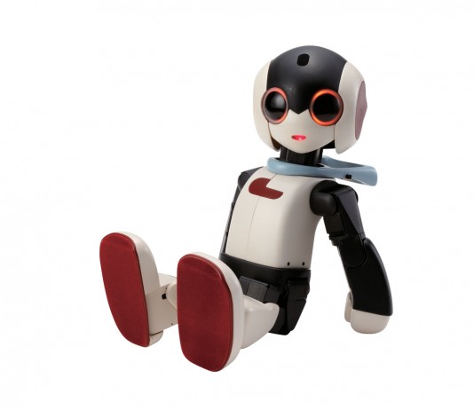 Robi the smart Robot